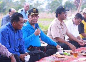 Bupati bersama Ketua DPRD melakukan pertemuan dengan masyarakat, di salah satu lahan pertanian milik masyarakat, di Nagori Mekar Sari.