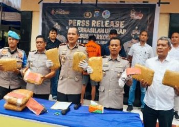 Bandit Narkoba di Madina Ditangkap dengan 7,8 Kilogram Ganja (Foto: Istimewa)