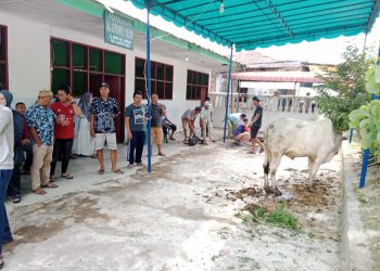 Masjid Darul Azhar Siantar berbagi hewan kurban untuk 220 KK, di komplek Masjid Darul Azhar Siantar, Minggu (10/7/2022).