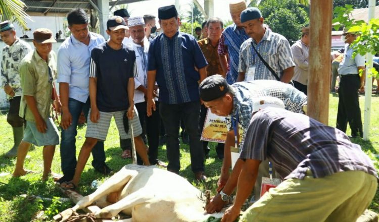 Bupati Simalungun, Radiapoh Hasiholan Sinaga, menyaksikan penyembelihan hewan qurban, Minggu (10/7/2022).