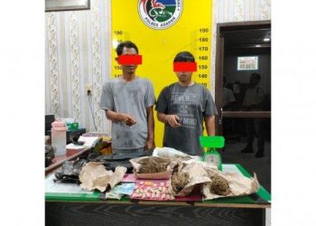 Kedua pelaku berinisial AAS (30) warga Jalan Akasia Lk. II Kelurahan Mekar Baru Kecamatan Kisaran Barat, Kabupaten Asahan dan S (46) warga Jalan Solo Dusun XI Desa Sukamaju Kecamatan Tanjung Tiram Kabupaten Batubara. Isimewa