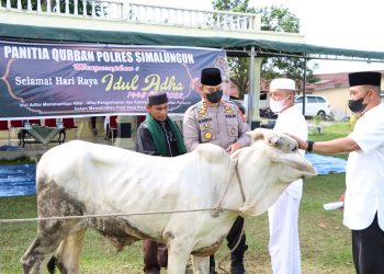 Kapolres Simalungun, AKBP Nicolas Dedy Arifianto, S.H, S.I.K., M.H, saat menyerahkan hewan kurban yang akan disembelih, di Lapangan Asrama Polisi Polres Simalungun, Jalan Asahan Pematangsiantar, Minggu (10/7/2022).