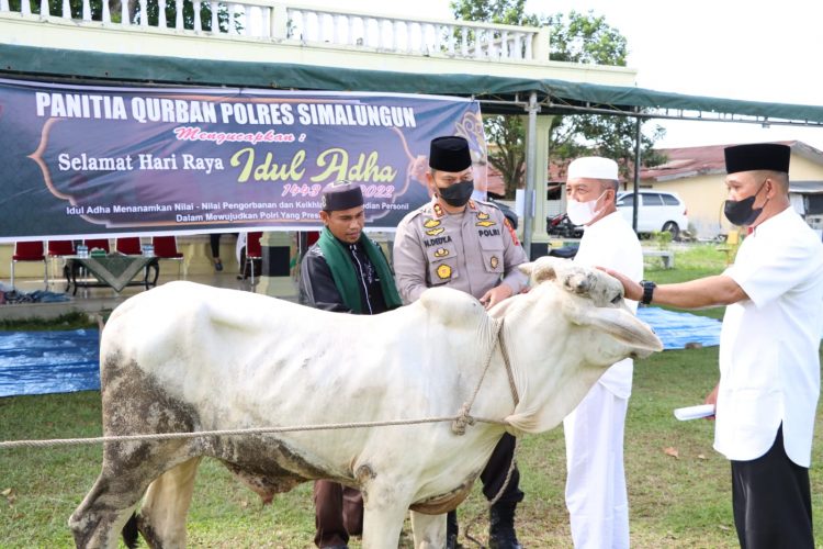 Kapolres Simalungun, AKBP Nicolas Dedy Arifianto, S.H, S.I.K., M.H, saat menyerahkan hewan kurban yang akan disembelih, di Lapangan Asrama Polisi Polres Simalungun, Jalan Asahan Pematangsiantar, Minggu (10/7/2022).