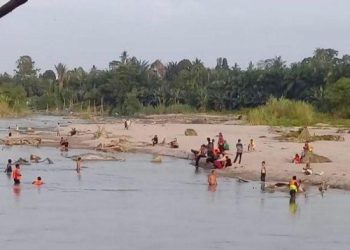 TERSERET ARUS SUNGAI - Tim SAR dibantu warga melakukan pencarian terhadap korban hanyut di Desa Tanjung Alam, Kecamatan Sei Dadap, Kabupaten Asahan. TRIBUN MEDAN/HO