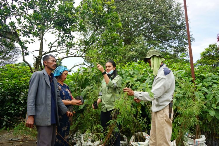 TPL bina petani kopi Sihaporas.