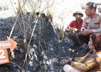 TRIBUN MEDAN/ Kapolres Samosir AKBP Josua Tampubolon SH MH melakukan identifikasi kasus pembakaran hutan, Senin (8/8/2022). Ist