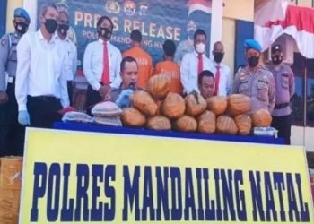 Polisi Gagalkan Penyelundupan 14,5 Kg Ganja Lewat Jasa Ekspedisi. [Antara]