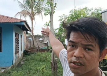 Syahrul menunjukan lokasi pertama kali kuyang yang menggegerkan warga Mabar terlihat di atas pohon kelapa.  Tribun Medan/Aprianto Tambunan