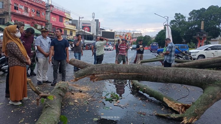 Plt. Wali Kota Pematang Siantar, dr Susanti Dewayani SpA, saat meninjau lokasi pohon tumbang, Sabtu (6/8/2022) sore.