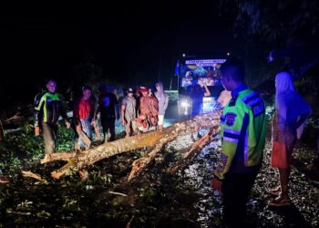 Satuan Lalu Lintas Polres Simalungun dengan sigap melalukan pengamanan lalu lintas di sekitaran lokasi pohon tumbang.