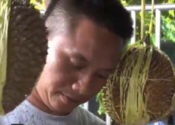 Penjual durian di Demak bernama Rozikin disebut wajahnya mirip Ferdy Sambo, mantan Kadiv Propam Polri. Foto/Sukmawijaya.
