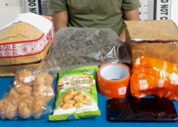 Foto barang bukti ganja yang diamankan Polisi.