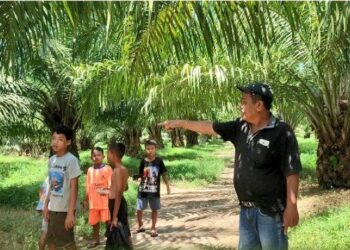 Lokasi dimana ibu hamil delapan bulan kepalanya dicangkul hingga berlumuran darah. TRIBUN MEDAN/ANUGRAH NASUTION