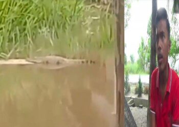 Kolase tangkapan layar video milik Arifin penampakan dua ekor buaya muara di Sungai Basilam, Kota Tanjungbalai. HO/Tribun Medan