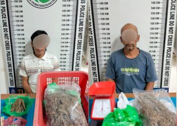 Foto kedua pelaku dan barang bukti ganja yang diamankan Polisi.