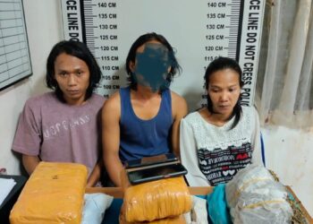 Foto ketiga pelaku dan barang bukti ganja saat diamankan di ruangan Sat Narkoba Polres Pematangsiantar.