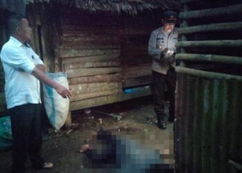 Kondisi korban yang tewas ditikam saat setelah beradu mulut di Dusun I, Desa Namu Ukur Utara, Kecamatan Sei Bingai, Kabupaten Langkat, Sumatera Utara, Senin (21/11/2022) sekitar pukul 17.45 WIB. Tribun Medan/Istimewa