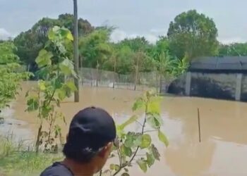 Tembok penangkaran buaya di Batu Bara, Sumatra Utara (Sumut) jebol diterjang banjir. (Foto: iNews/Fadly Pelka)
