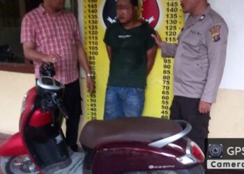 Reskrim Polsek Perdagangan berhasil meringkus pelaku pencurian sepeda motor Honda Scoopy (Tanpa Plat, red) yang terjadi di Huta VII, Nagori Bandar Tongah, Kecamatan Bandar Huluan, Kabupaten Simalungun, Senin (2/01/2023) lalu. Ist