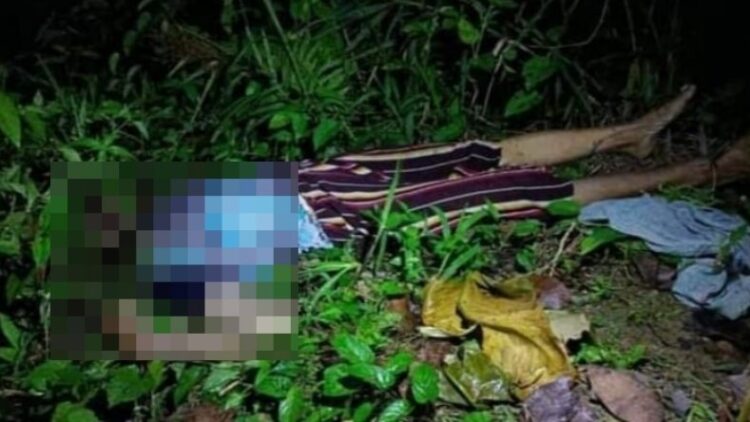 Mayat nenek tanpa kepala di Nias Selatan, Sumut, ditemukan tergeletak di semak-semak (Istimewa)