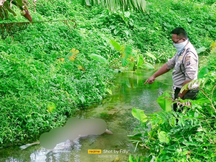 Petugas kepolisian menunjuk mayat korban.