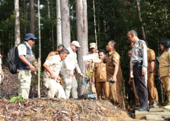 Bupati Pakpak Bharat, Franc Bernhard Tumanggor melakukan penanaman pohon kapur, di pinggiran jalan penghubung Lagan-Pagindar.