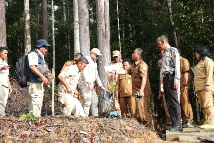 Bupati Pakpak Bharat, Franc Bernhard Tumanggor melakukan penanaman pohon kapur, di pinggiran jalan penghubung Lagan-Pagindar.