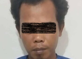 Petani berinisial TR (43) ditangkap lantaran diduga menganiaya Kades Sijungkang Adi Mirhan Siregar. (Foto: Antara)