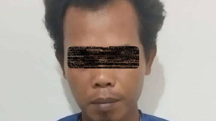Petani berinisial TR (43) ditangkap lantaran diduga menganiaya Kades Sijungkang Adi Mirhan Siregar. (Foto: Antara)