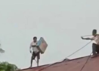 Maling di atap rumah warga di Jalan Purwosari, Kecamatan Pontianak Selatan, Kota Pontianak, Kalimantan Barat (Kalbar) (Dok/Instagram)
