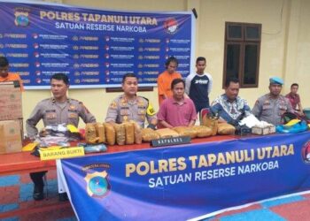 Polres Taput menangkap seorang petani yang nekat berladang ganja.