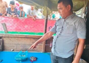 Polisi temukan ratusan paket ganja kering dan 62 paket sabu siap edar, pelaku melarikan diri jebur ke sungai.