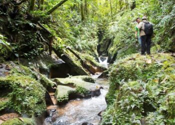 Sungai Aek Sibulbulon di Humbang Hasundutan. (Foto: Dok Cagar Budaya Sumut)