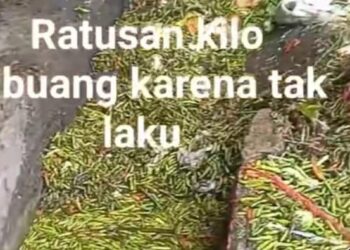 Foto: (Tangkapan Layar/Instagram)