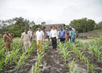 Bupati Pakpak Bharat, Franc Bernhard Tumanggor, mengajak Dirut PT. Parna Raya dan Tim Menko Marves kunjungi Lahan Jagung Food Estate, Selasa (09/05/2023), lalu.