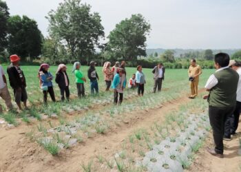 Bupati Humbahas, Dosmar Banjarnahor, SE, saat meninjau tanaman bawang merah bantuan Bank Indonesia (BI) Cabang Sibolga, Rabu (21/6/2023), di areal pertanaman Kelompok Tani (Poktan) Tobing, Desa Dolokmargu, Kecamatan Lintongnihuta.