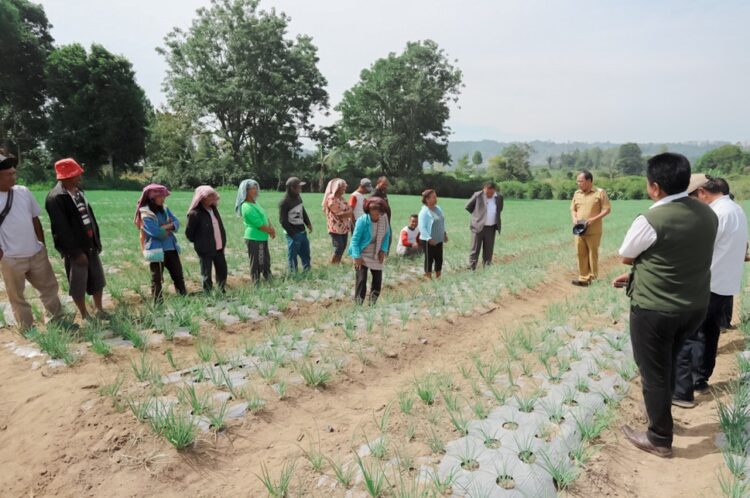 Bupati Humbahas, Dosmar Banjarnahor, SE, saat meninjau tanaman bawang merah bantuan Bank Indonesia (BI) Cabang Sibolga, Rabu (21/6/2023), di areal pertanaman Kelompok Tani (Poktan) Tobing, Desa Dolokmargu, Kecamatan Lintongnihuta.
