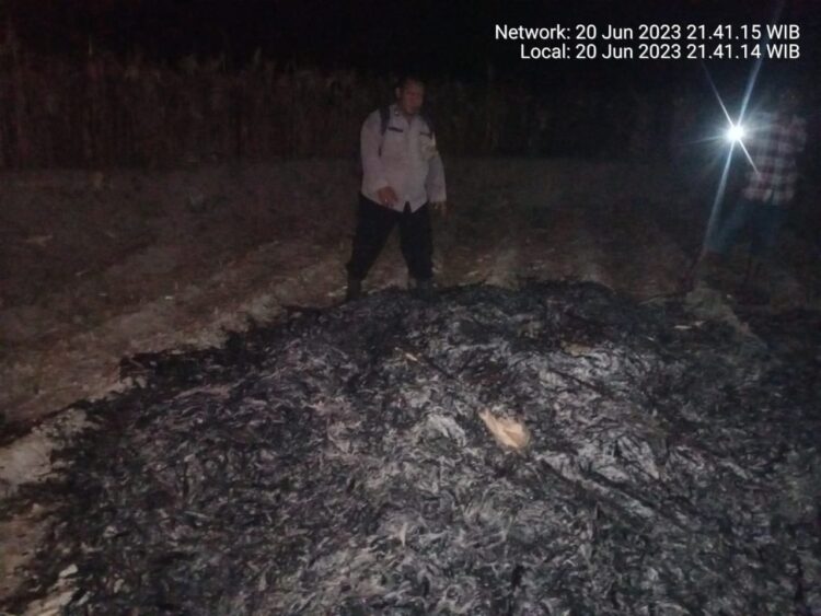 Personil Polsek Tanah Jawa, merespons cepat kebakaran lahan di perladangan warga, di Dusun III Hataran Jawa, Nagori Marubun Jaya, Kecamatan Tanah Jawa, Kabupaten Simalungun, pada Selasa (20/6/2023) malam, sekitar pukul 20.30 WIB.