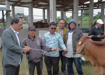 Bupati Humbahas, Dosmar Banjarnahor, SE, serahkan 56 ekor ternak sapi kepada masyarakat melalui kelompok tani, Jumat (14/7/2023), di Desa Siponjot, Kecamatan Lintongnihuta.
