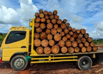 Foto: Truk pengangkut kayu illegal logging diamankan DLH Sumut (Istimewa)