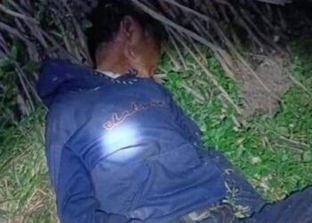 Seorang pria lanjut usia ditemukan tak sadarkan diri dalam areal perkebunan sawit PT Adolina, Kecamatan Perbaungan, Kecamatan Serdangbedagai, Minggu (16/7/2023) malam.