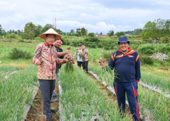 Bupati Humbahas, Dosmar Banjarnahor, saat monitoring tanaman bawang merah di Desa Dolokmargu, Kecamatan Lintongnihuta, Sabtu (8/7/2023), lalu.