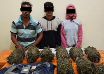 Pasutri yang jadi pengedar ganja. (Foto: Dok. Polres Lhokseumawe)