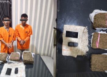 Personel Satresnarkoba Polres Tanah Karo menangkap dua orang pengedar ganja dari areal perkebunan sawit di Desa Lau Pengulu, Kecamatan Mardingding Kabupaten Karo, Rabu (16/8/2033) pukul 17.30 WIB. Istimewa