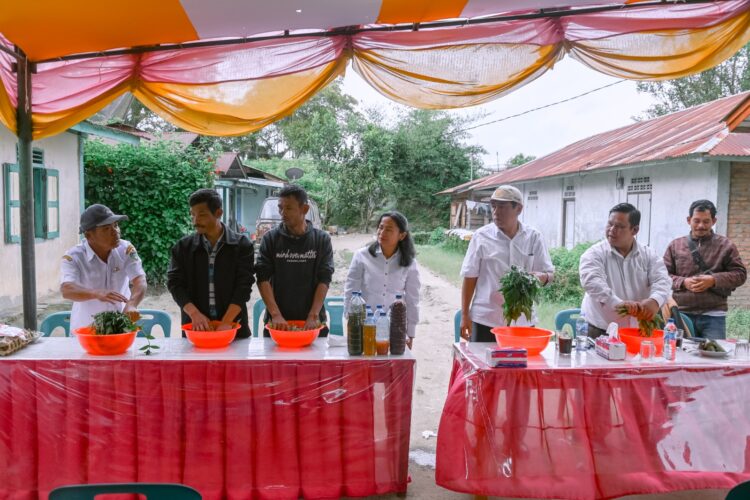 Kelompok Tani di Desa Janji undang Dinas Pertanian dalam pembuatan Biosaka dan PSB, Rabu (27/9/2023), di Banjar Godang Desa Janji.