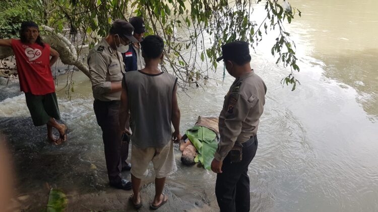 Polsek Bangun mengevakuasi mayat seorang pria terapung, di Sungai Bah Bolon, Huta III, Nagori Sahkuda Bayu, Kecamatan Gunung Malela, Kabupaten Simalungun, pada Minggu (10/9/2023), sekitar pukul 13:20 WIB.
