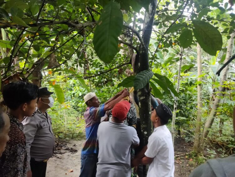 Petugas saat mengevakuasi jasad Ernawati Damanik, yang ditemukan tewas gantung diri di pekarangan rumah.
