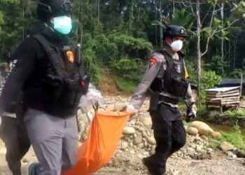 Korban Pembunuhan KKB Papua/ist
