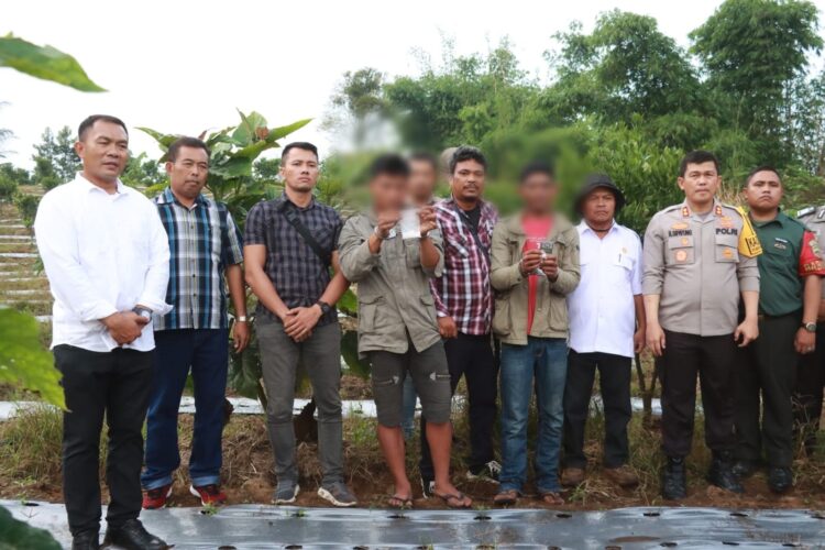 Kapolres Simalungun gerebek Petani Jeruk nyambi jual sabu di Bandar Saribu, dan berhasil mengamankan 2 orang dan barang bukti sabu, (8/11/2023), pukul 16.00 WIB.