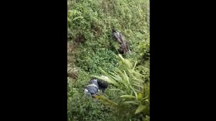 Warga Torgamba digegerkan dengan penemuan mayat pria di Parit Bekoan sedalam tiga meter di Jalinsum Afdeling 3 PTPN 3 Torgamba, Kecamatan Torgamba, Kabupaten Labuhanbatu Selatan (Labusel), Jumat (17/11/2023). (Foto: Istimewa).